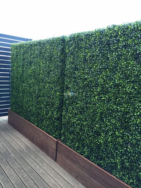 Artificial-Boxwood-Hedge-1.5m Boxwood Hedge Wall, Timber Planters, Hedge Trees, Privacy Planter, Privacy Hedge, Artificial Hedges, Boxwood Hedge, Moss Ball, Hanging Gardens