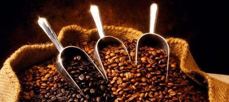 Coffee Essential Oil, Coffee Background, Types Of Coffee Beans, Background Landscape, Colombian Coffee, Arabica Coffee Beans, Coffee Blog, Roasted Coffee Beans, Coffee Uses