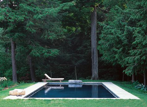 Backyard Pool Design, Simple Pool, Pool Remodel, Diving Board, Tiered Garden, Infinity Edge Pool, Muddy Waters, Backyard Pool Designs, Small Pool