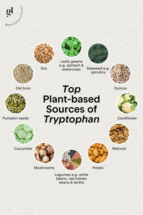 Tryptophan Foods, Dopamine Foods, Serotonin Foods, Holistic Nutritionist, Red Kidney Bean, Healthy Food Motivation, Inflammatory Foods, Holistic Nutrition, Healthy Food Choices