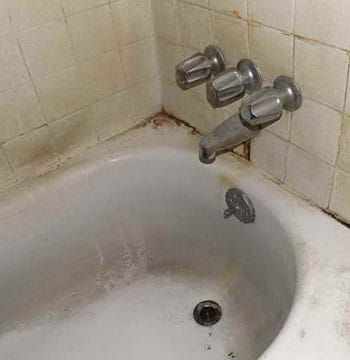 How to Remove Black Mold from Bathtub Diy Tub Skirt, Tub Skirt, Bathroom Mold Remover, Clean Black Mold, Remove Bathtub, Bathtub Caulking, Bathroom Mold, Diy Tub, High Strangeness