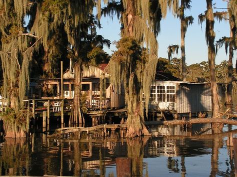 The Bayou on Pinterest | Louisiana, Houseboats and Louisiana Usa Bayou House, Louisiana Swamp, Louisiana Bayou, Louisiana Travel, Louisiana Homes, New Orleans Louisiana, Miranda Kerr, Louisiana, Places To Travel