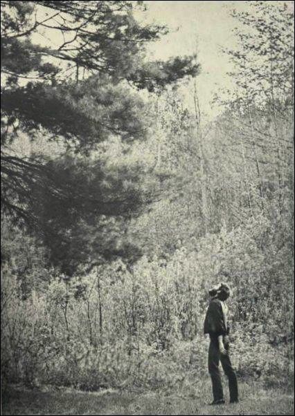 Levon Helm. What a beautiful shot. Robbie Robertson, Wow Photo, Play List, Awesome Pictures, Band Pictures, Number Two, Woodstock, T Rex, Cool Cats