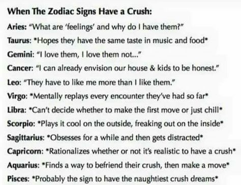 leo zodiac has crush Zodiac Signs As Lovers, Zodiac Signs Crush, Zodiac Relationships, Zodiac Sign Traits, Zodiac Stuff, Zodiac Society, Zodiac Posts, Zodiac Signs Horoscope, Zodiac Signs Funny