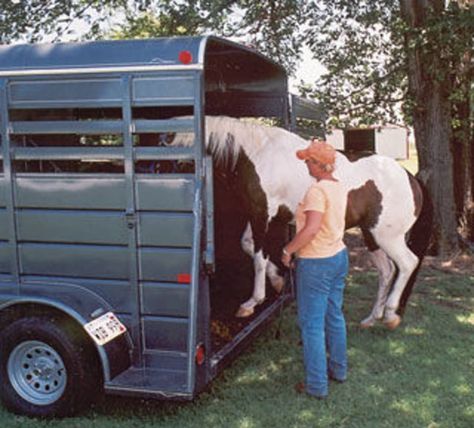 Horse In Trailer, Natural Horsemanship Training, Horseback Riding Tips, Natural Horsemanship, Horse Trainer, Horse Trailers, Scary Places, Horse Trailer, Letting Go Of Him