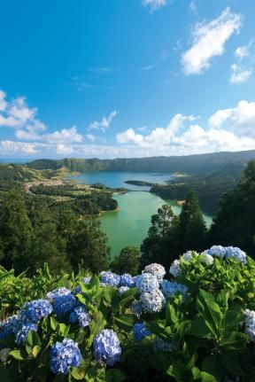 Azores Islands, Azores Portugal, São Miguel Island, Portuguese Culture, Blue Hydrangeas, Vacation Goals, Beautiful Places In The World, Short Trip, Whale Watching