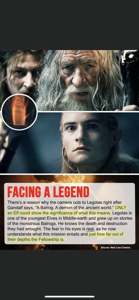 Lotr Facts, Bard X Thranduil, Thranduil X Bard, Middle Earth Elves, Hand Of The King, Concerning Hobbits, Lotr Funny, Tolkien Elves, Lotr Art