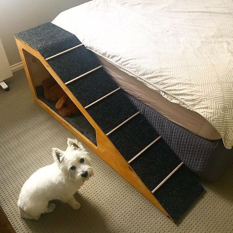 Diy Pet Ramp For Bed, Diy Dog Ramp For Bed, Dog Stairs Diy, Dog Ramp Diy, Dog Steps For Bed, Cat Ramp, Dog Ramp For Bed, Wooden Dog Bed, Dog House Bed