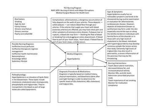 Concept Map Nursing, Nursing Concept Map, Nursing Iv, Psych Nursing, Concept Mapping, Concept Map Template, Microbiology Study, Nursing Things, Nurse Brain