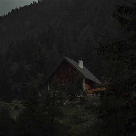 Cabin In The Woods Aesthetic, Cozy Cabin Aesthetic, Dark Naturalism, Boho Background, Dark Forest Aesthetic, Cabin Aesthetic, Forest Cabin, Dark House, Hiding Face