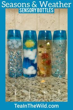 Seasons And Weather Sensory Bottles, Sensory Bottles Seasons, Day And Night Sensory Bottles, Weather Bottles Preschool, Preschool Sensory Crafts, Learning About Seasons Preschool, Core Water Bottle Crafts, Teacher Made Materials For Infants, Seasonal Sensory Bottles