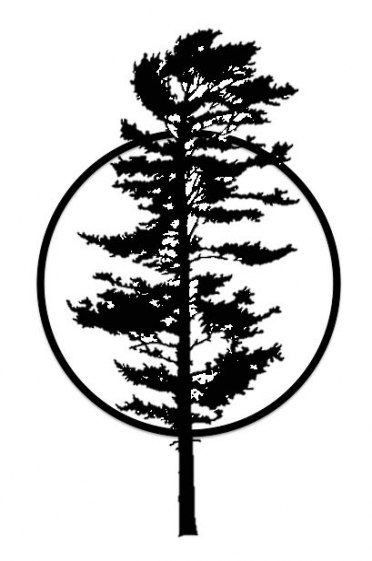 White Pine Silhouette, Jack Pine Tattoo, White Pine Tree Tattoo, White Pine Tattoo, Spruce Tree Tattoo, Tree Silhouette Tattoo, Tree Tattoo Arm, Pine Tree Drawing, Tree Tattoo Back