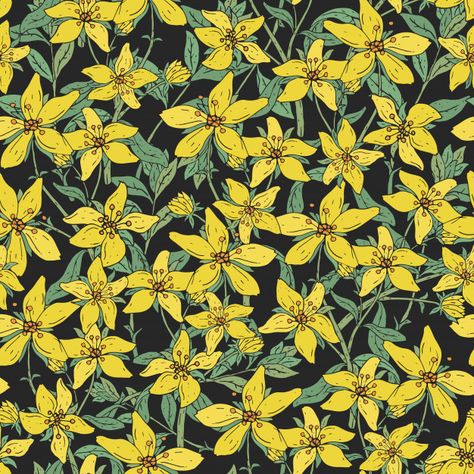 Seamless pattern with st. john s wort me... | Premium Vector #Freepik #vector Colorful Texture, St John, Black Background, Seamless Pattern, Premium Vector, Black Backgrounds, Seamless Patterns, Graphic Resources, Hand Drawn