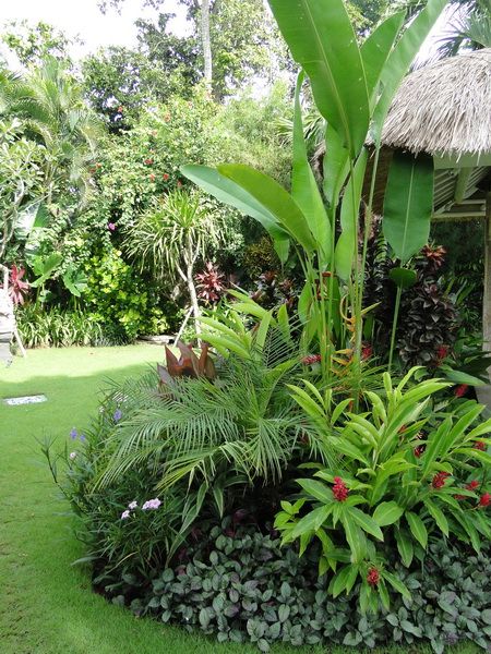 Elang Villa - Bali | Bali Landscape Company Tropical Ground Cover Plants, Bali Landscape Design, Tropical Front Yard, Bali Landscape, Tropical Landscaping Ideas, Tropical Backyard Landscaping, Tropical Patio, Bali Garden, Balinese Garden