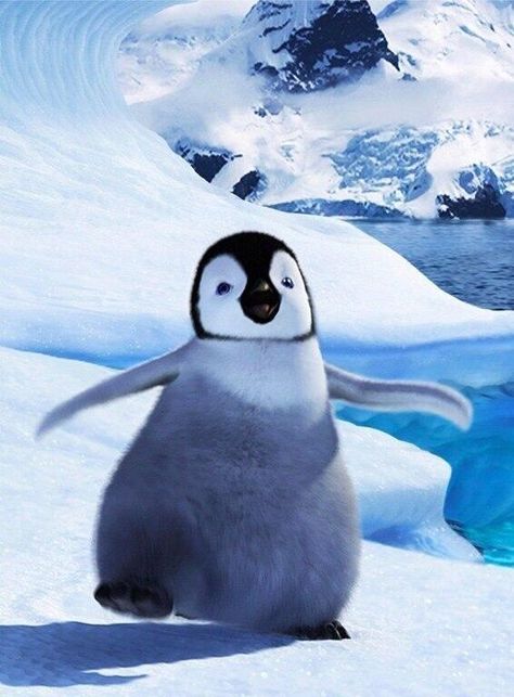 The epitome of a happy feet penguin Penguin Wallpaper, Penguin Pictures, Cutee Animals, Fauna Marina, Penguins Funny, Penguin Love, Baby Penguins, Cute Penguins, Cute Birds