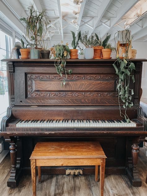 Plants On Piano, Victorian Piano Room, Antique Upright Piano, Piano With Plants, Piano Cottagecore, Upright Piano Decor, Piano Redo, Deli Design, Victorian Piano