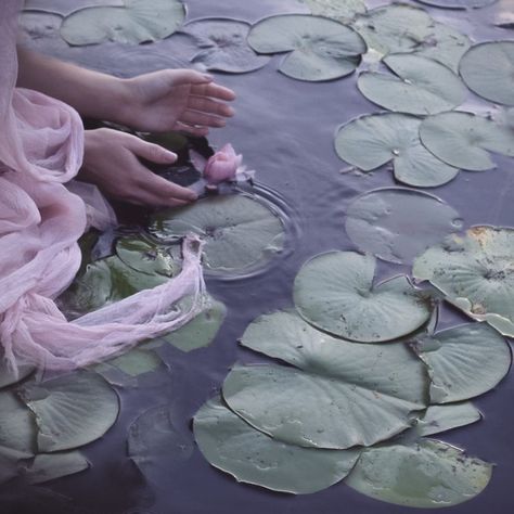 My Surroundings, Fairytale Aesthetic, My Relationship, Fairy Aesthetic, Fantasy Aesthetic, + Core + Aesthetic, Soft Summer, Water Lilies, Character Aesthetic