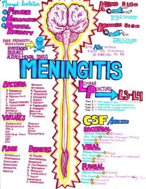 Meningitis Neurology Notes, Med School Notes, Nursing School Prerequisites, Medicine Notes, Nurse Study Notes, Nursing Mnemonics, Nursing Student Tips, Medical Student Study, Nursing School Survival