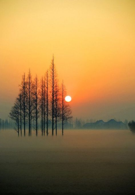 Nature Landscape Photography, Foggy Day, Soyut Sanat Tabloları, Nature Wallpaper, Beautiful Sunset, Watercolor Landscape, Landscape Photos, Beautiful Photography, Amazing Nature