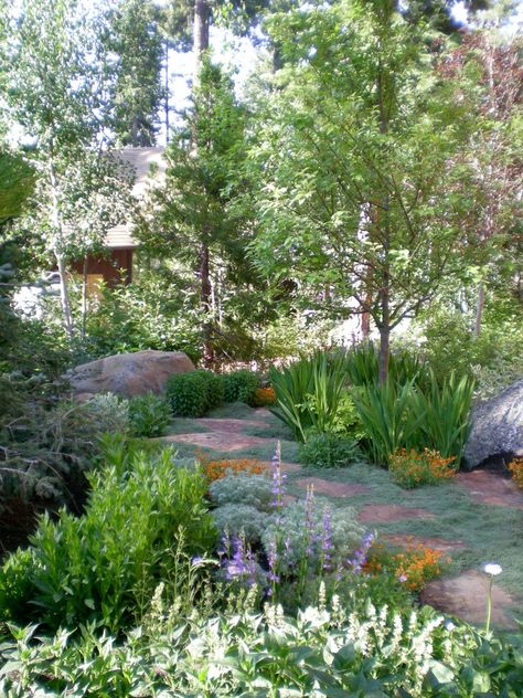 Alpine Landscaping in Lake Tahoe by Christine Karnofsky Flowering Ground Cover, Houston Landscaping, Mountain Garden, Alpine Landscape, Alpine Garden, Med Tech, Stone Pathway, Garden Architecture, Backyard Inspiration