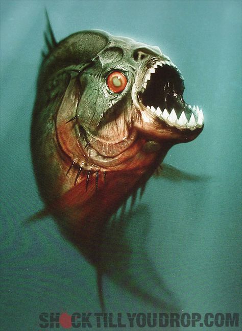 Meet a piranha... but just one.. Dangerous Fish, Scary Fish, Seashell Drawing, Piranha Fish, Dark Alice In Wonderland, Dragon Fish, Monster Fishing, Amazon River, Octopus Art