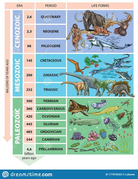 Geologic Time Scale Timeline Project, Geology Poster Design, Time Periods History, Geological Time Scale Project, Geologic Time Scale Drawing, Geological Time Scale Timeline, Periods Illustration, Geology Study, Prehistoric Timeline