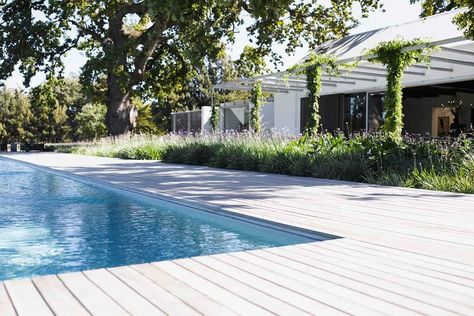 Decking Options, Pool Decking, Curtains Design, Pool Umbrellas, Pool Landscape, Pool Water Features, Pergola Ideas, Concrete Pool, Timber Deck