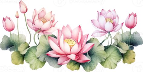 Indian Lotus Illustration, Lotus Digital Art, Lotus Painting Watercolor, Lotus Illustration Art, Lotus Flower Aesthetic, Agarbatti Packaging, Traditional Template, Lotus Concept, Floral Vector Design