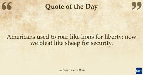 Americans used to roar like lions for liberty; now we bleat like sheep for security. Fear Quotes, Norman Vincent Peale, Lack Of Confidence, Isaac Newton, William Blake, George Orwell, Free Speech, Quote Of The Day, Words Of Wisdom