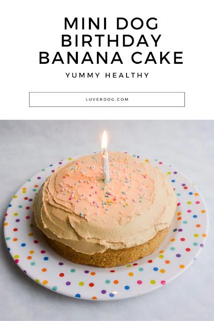 Dog Cake Mini Dog Birthday Cake, Dog Birthday Cake Banana, Dog Friendly Birthday Cake Recipes, Dog Cake Recipe Banana, Dog Cake Frosting Recipe, Dog Friendly Frosting, Dog Cake Recipe Peanut Butter, Banana Dog Cake, Peanut Butter Dog Cake