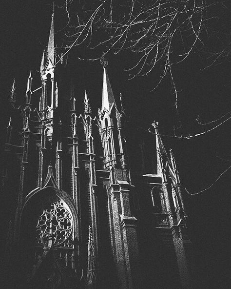 Untitled Dark Cathedral, Dark Castle, Gothic Castle, Gothic Cathedrals, Gothic Church, Gothic Aesthetic, Dark Gothic, Dark Academia Aesthetic, Gothic Architecture