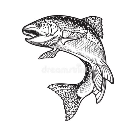 Salmon Drawing, Salmon Tattoo, Trout Tattoo, Trout Art, 심플한 그림, Bass Fishing Shirts, Fish Drawing, Fishing Art, Fish Vector