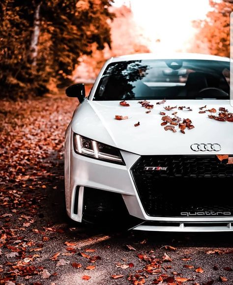 Wallpaper Hippie, Dream Cars Audi, Carros Bmw, Luxe Auto's, Luxury Cars Audi, Motor Mobil, Lamborghini Cars, Audi A7, Bmw I8