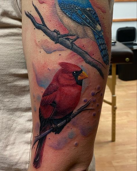 Cardinal tattoo Blue Jay And Red Cardinal Tattoo, Cardinal And Blue Jay Tattoo, Cardinal And Blue Jay, Red Cardinal Tattoos, Blue Jay Tattoo, Jay Tattoo, Cardinal Tattoo, Bluebird Tattoo, Cardinal Tattoos