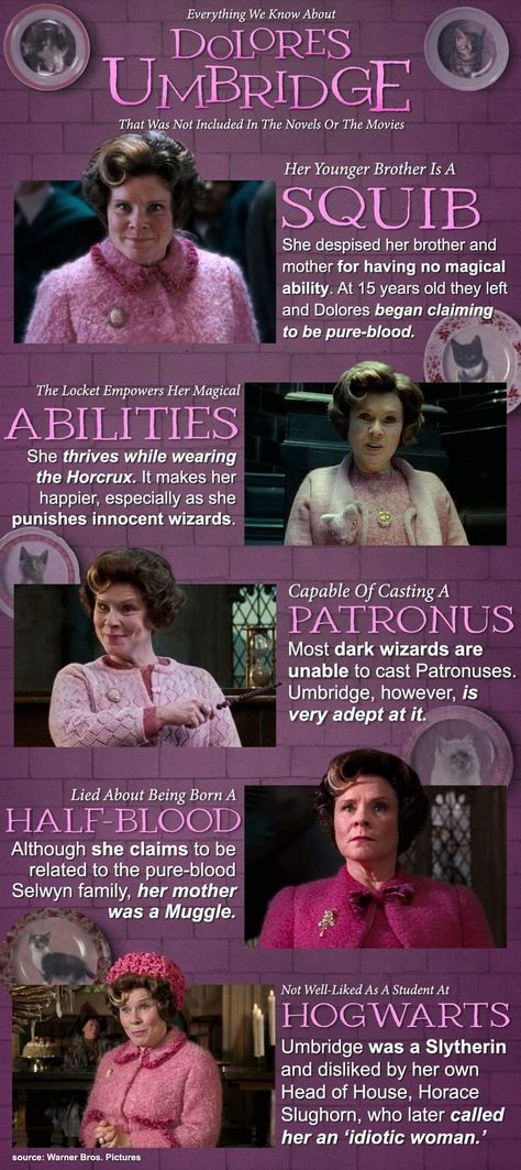 Delores Umbridge, Dolores Umbridge, Dark Wizard, Harry Potter Costume, Harry Potter Outfits, Half Blood, Harry Potter Hogwarts, Her Brother, Love Affair