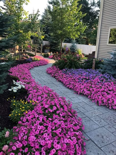 Walkway Flowers Borders, Midwest Front Yard Landscaping Ideas, Garden Fairy Costume, Front Yard Flowers, Dream Garden Backyards, Pool Bed, Garden River, Flower Yard, Front Lawn Landscaping