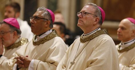 Here's hoping Bishop Barron settles in to new job leading a Minnesota diocese | National Catholic Reporter Media Ministry, Bishop Barron, Sacred Heart Cathedral, Jordan Peterson, Finals Week, Flexibility Workout, Pope Francis, Good Friday, New Testament