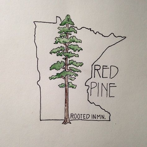 The Minnesota state tree. #drawing #art #penandink #watercolor #tree #mnvibes #linework #redpine #pine #north #woods #rootedinmn Redwood Tree Tattoo, Red Pine Tree, Tree Tattoo Color, Family Tree Logo, Palm Tree Tattoo Ankle, Tree Tattoo Ankle, Snowman Christmas Tree Topper, Tree Frog Tattoos, Pine Tattoo