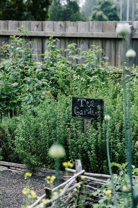 Colonial Kitchen Garden, Cottage Herb Garden, Vege Patch, Fruit Orchard, Country Garden Design, Small House Garden, Florida Cottage, Butterfly Gardens, Ranch Ideas