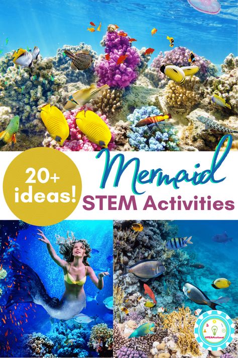 Combine magic and science with these mermaid STEM activities! Mermaid science is fun in these mermaid activities. Mermaid Science Experiment, Mermaid Camp Ideas, Mermaid Learning Activities, Mermaid Prek Activities, Under The Sea Stem Activities, Pirates And Mermaids Activities, Pirate Stem Activities, Beach Stem Activities, Mermaid Preschool Activities