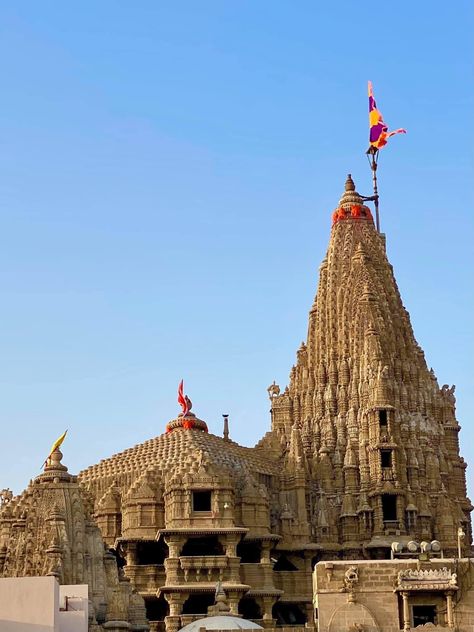 Gujarat Temple, Dwarikadhish Hd Wallpaper, Bappa Photo, Ganpati Bappa Photo, Clematis Plants, Avocado Hair, Hanuman Hd Wallpaper, Blurred Lights, Instagram Cartoon