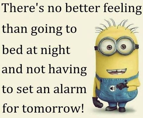 Cute Minion Quotes, Minions Clips, Minion Mayhem, Retirement Life, Minions Love, Cute Minions, A Minion, Minion Quotes, Funny Minion Quotes