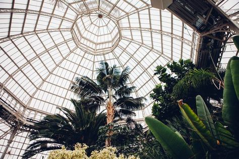 Ruth + Henry | Sefton Park Palm House, Liverpool Orangery Wedding, Sefton Park, Palm House, Uk Destinations, Modern Couple, Botanical Wedding, East London, Modern Boho, Zbrush