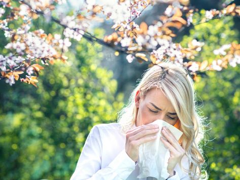 Nose Allergy, Hay Fever Symptoms, Allergy Season, Allergic Rhinitis, Hay Fever, Watery Eyes, Cold Cough, Allergy Relief, Stuffy Nose