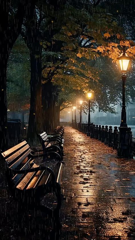 Park Benches, Image Nature, Pretty Landscapes, Autumn Scenery, Beautiful Images Nature, Beautiful Landscape Wallpaper, Rain Photography, Beautiful Scenery Nature, Alam Yang Indah