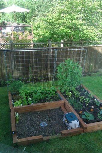 square foot gardening: Square Foot Garden, Garden Planning Layout, Backyard Layout, Vegetable Garden Raised Beds, Garden Layout Vegetable, Square Foot Gardening, Veg Garden, Home Vegetable Garden, Garden Bed