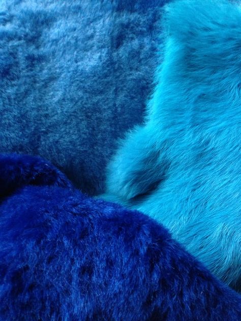 Fur Pillows, Blue Shades Colors, Blue Stuff, Behind Blue Eyes, Blue Photography, Fuzzy Wuzzy, Im Blue, Everything Is Blue, Kind Of Blue