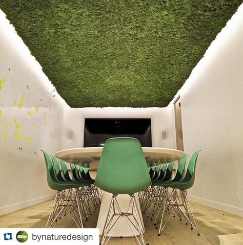 Moss Ceiling, Green Ceiling, Entrance Furniture, Farm Projects, Apt Ideas, Showroom Interior Design, Royal Green, Moss Wall, Office Plants