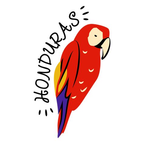 Scarlet macaw honduras illustration #AD , #macaw, #honduras, #illustration, #Scarlet Honduras Drawing, Honduras Tattoo Ideas, Honduras Tattoo, Honduras Aesthetic, Macaw Drawing, Honduras Art, Olimpia Honduras, Latin Festival, Spanish Pictures