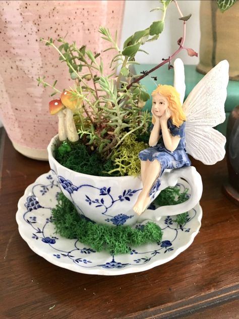 Fairy In Teacup, Fairy Garden Tea Cups, Cup Saucer Crafts Ideas, Tea Cup Fairy House, Tea Cup Miniature Garden, Old Tea Pots Ideas Plants, Tea Cup Fairy Garden Ideas, Plants In Teacups, Succulents In Teacups